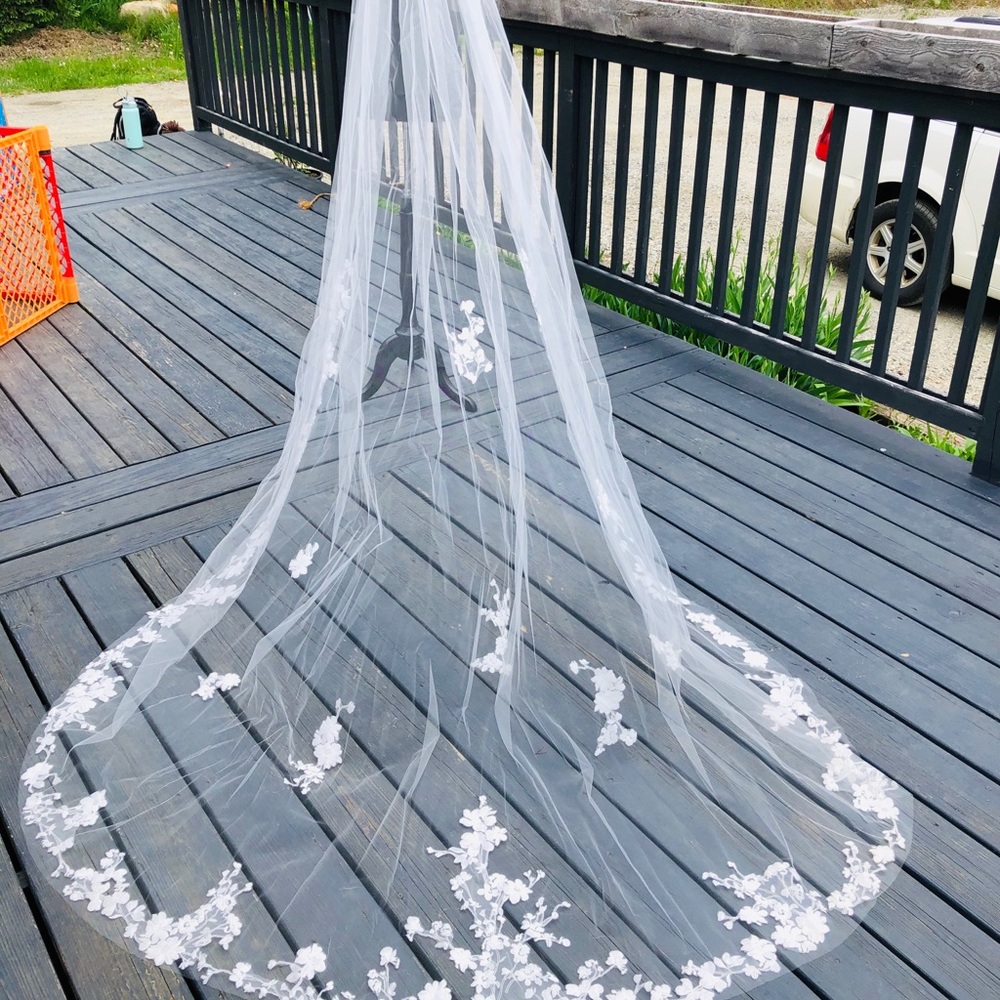 Long Veil with gorgeous lace pattern on the lining